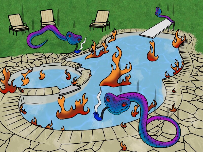 Snek Announces Staking Pool Special Rewards