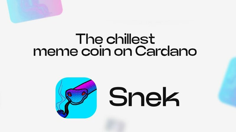 Snek Launches New Website : snek.com