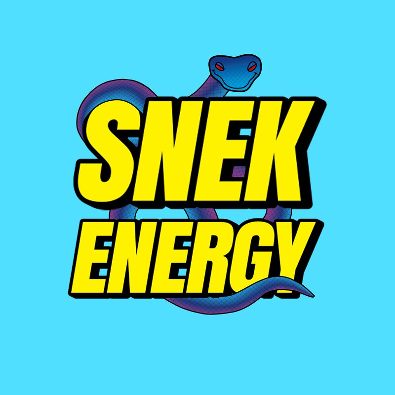 Snek Energy Launches New Website : snek.energy