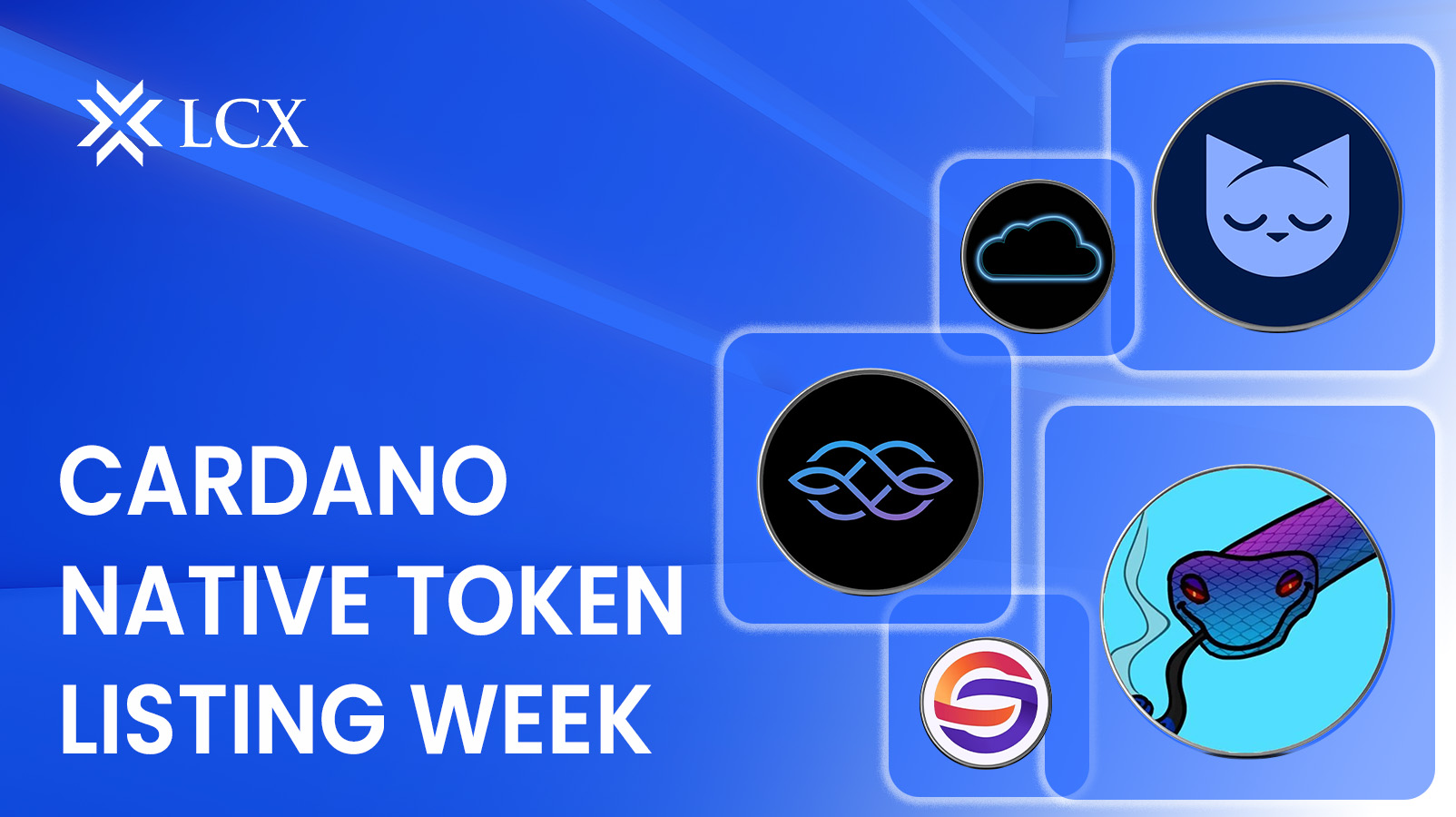 A new CEX: LCX will be listing $SNEK